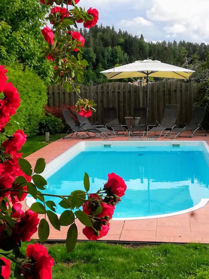 Ferienwohnung Mit Pool In Woerthersee Naehe Dellach  Bagian luar foto